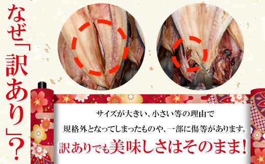 【順次発送】干物 おまかせ詰め合わせセット 3.5kg以上 真ホ