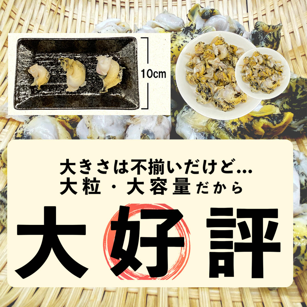 北海道鹿部町産 訳あり ”前浜ボイルつぶ ” 1.2kg（300g×4袋
