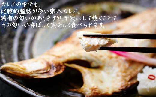 軽石を使った干物(冷凍) 北海道産 宗八カレイ 1.6kg（8尾入り
