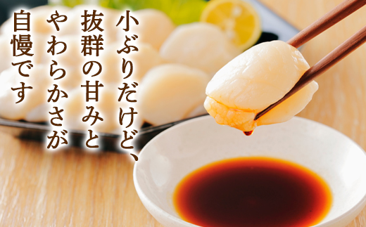 北海道噴火湾湾口産 ほたて お刺身用 ほたて貝柱 400g (200g×2