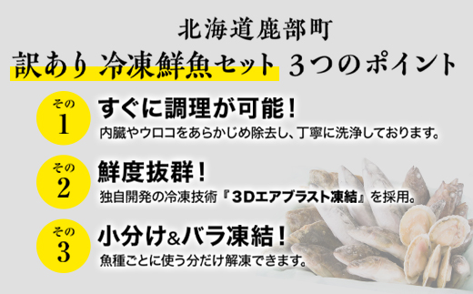 【2025年10月下旬発送】北海道産 冷凍鮮魚セット 最大3.2kg 「