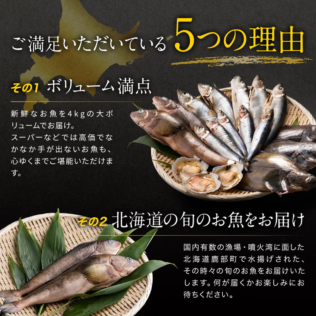 【2026年1月下旬発送】北海道 冷凍鮮魚セット 最大4kg 「漁師