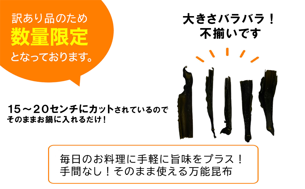 【北海道産】 訳あり 根昆布切り落とし 1kg 昆布 不揃い 昆