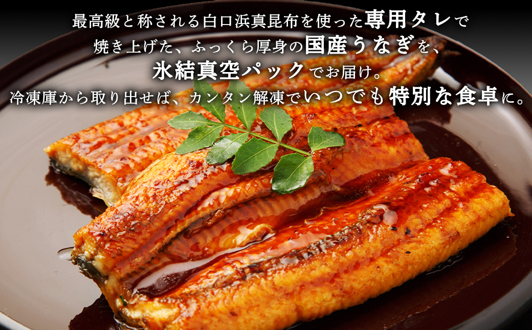 【2025年10月下旬発送】 国産 うなぎ 蒲焼き2尾 タレ付き 期