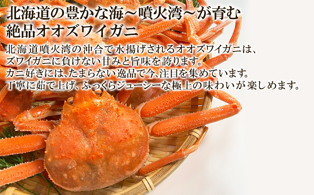 【訳あり】北海道産 ボイルオオズワイガニ 3kg 約10～18尾 か