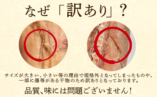 【2025年11月下旬発送】訳あり 干物・切身 セット 3kg お試し 