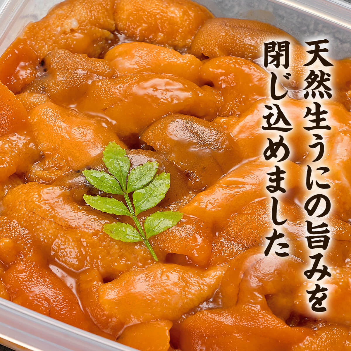 ふり塩うに100g＆いくら100g おうちで海鮮丼セット 北海道