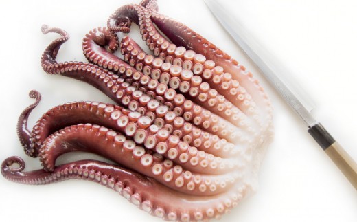 【緊急支援品】北海道産たこわさび 5パック 事業者支援 中