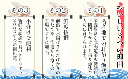 北海道噴火湾湾口産 ほたて お刺身用 ほたて貝柱 400g (200g×2