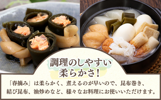 【北海道鹿部町産】白口浜真昆布 春摘み 250g（50g×5）真昆