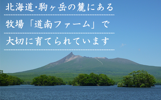 【定期便】北海道産 モモ肉 680g 全6回 毎月お届け 北海道産