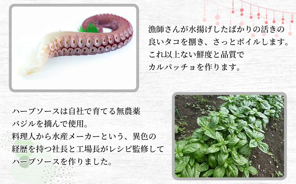 北海タコのハーブカルパッチョ （タコ100g+ハーブソース）×