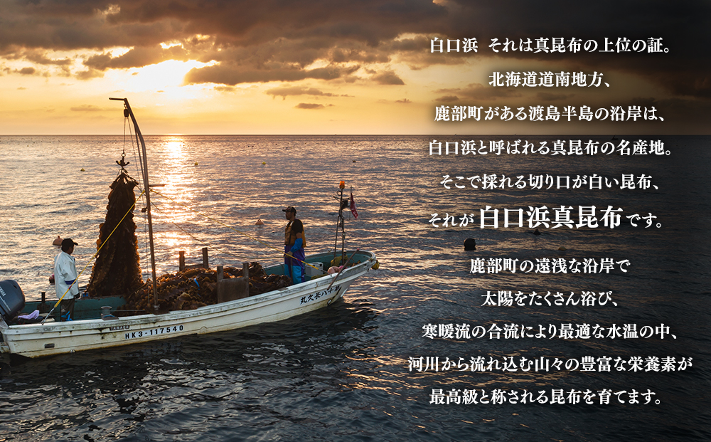 【北海道産】 訳あり 根昆布切り落とし 1kg 昆布 不揃い 昆