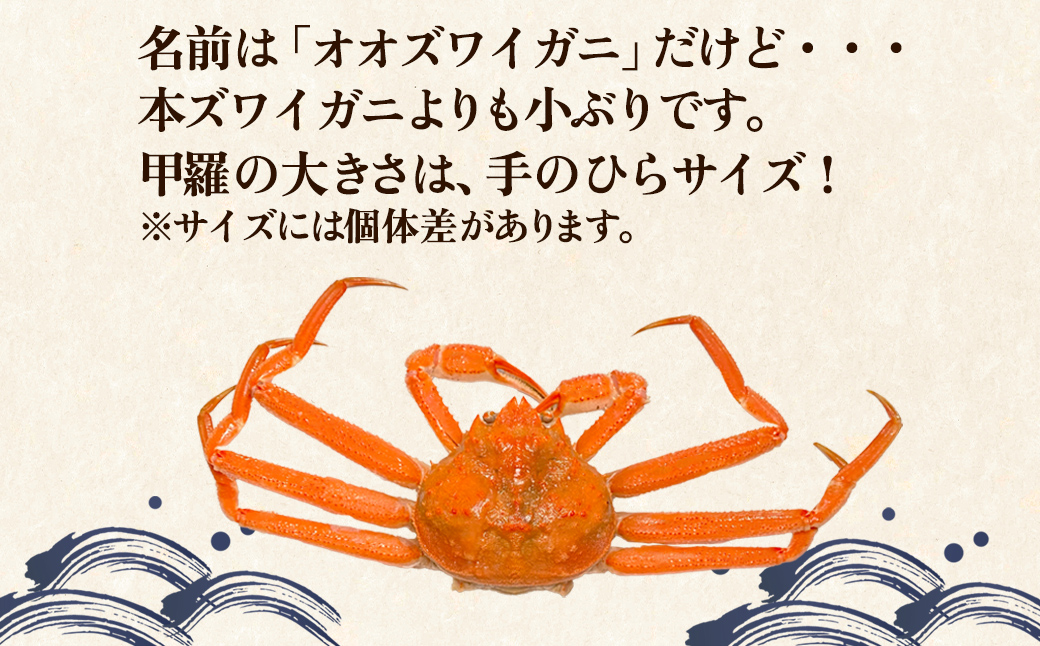 【訳あり】北海道産 ボイルオオズワイガニ 3kg 約10～18尾 か