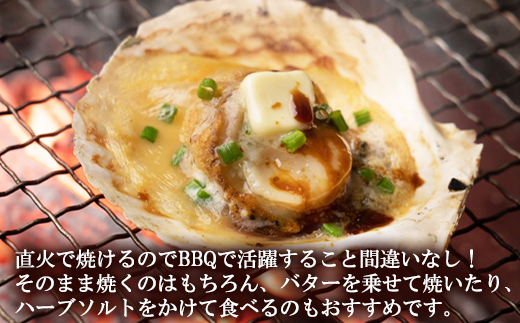 【北海道産】 ハーフシェル ほたて片貝 3袋 1.9kg (30枚前後) 