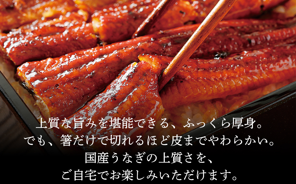 【2025年8月下旬発送】 国産 うなぎ 蒲焼き 5尾 タレ付き