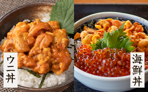 塩うに 計240g バフンウニ×1パック ムラサキウニ×2パック ミ