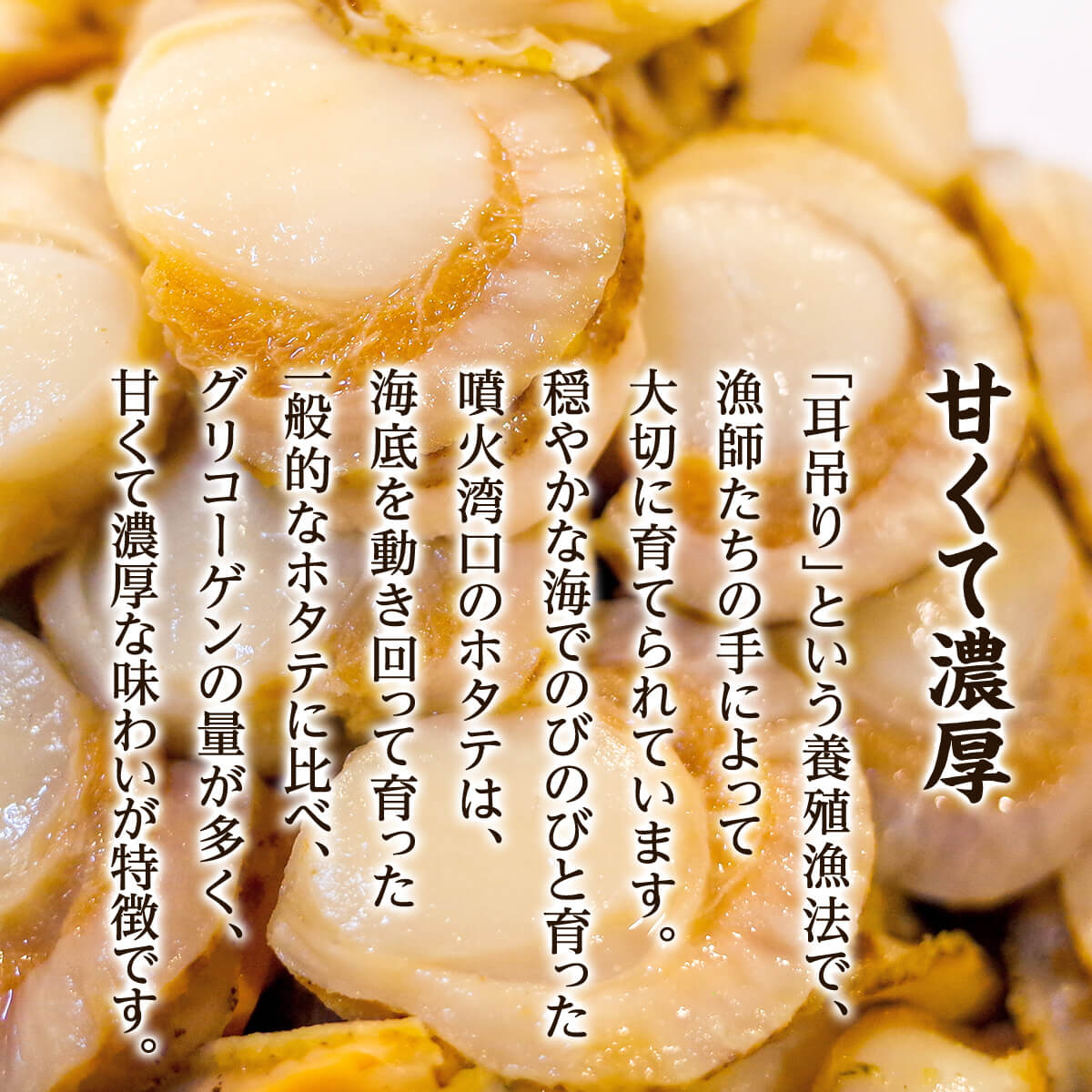 【北海道産】ボイルベビー ホタテ Lサイズ 1kg お試し 加熱