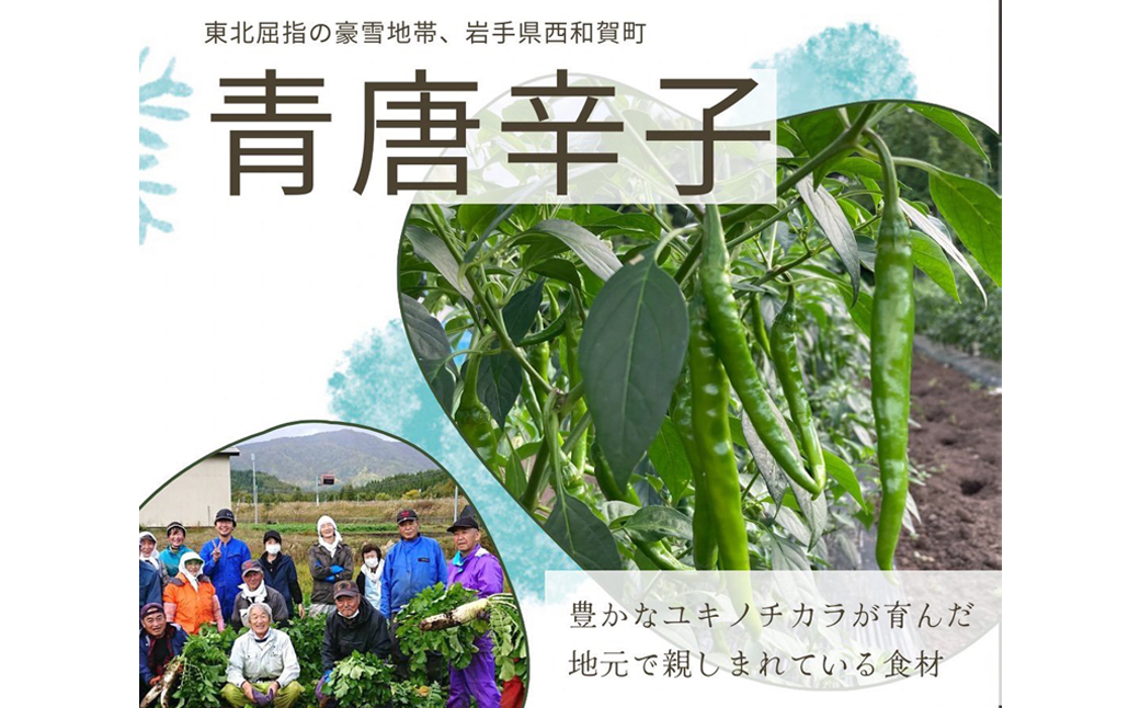 北海道産 青唐辛子明太子 1パック たらこ 明太子 辛子明太