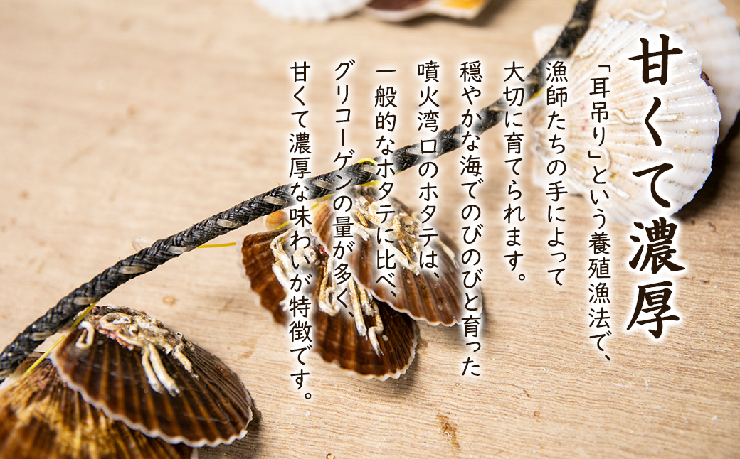 高村商店の ワケあり！ボイルベビーホタテ 3kg （1kg×3袋）