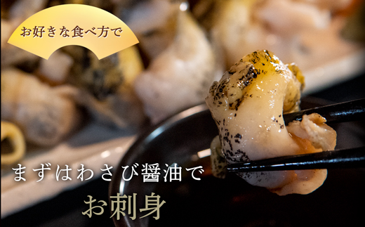 北海道鹿部町産 つぶ貝 600g （300g×2袋） 刺身 不揃い つぶ 