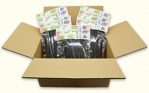 【北海道鹿部町産】白口浜真昆布 春摘み 250g（50g×5）真昆