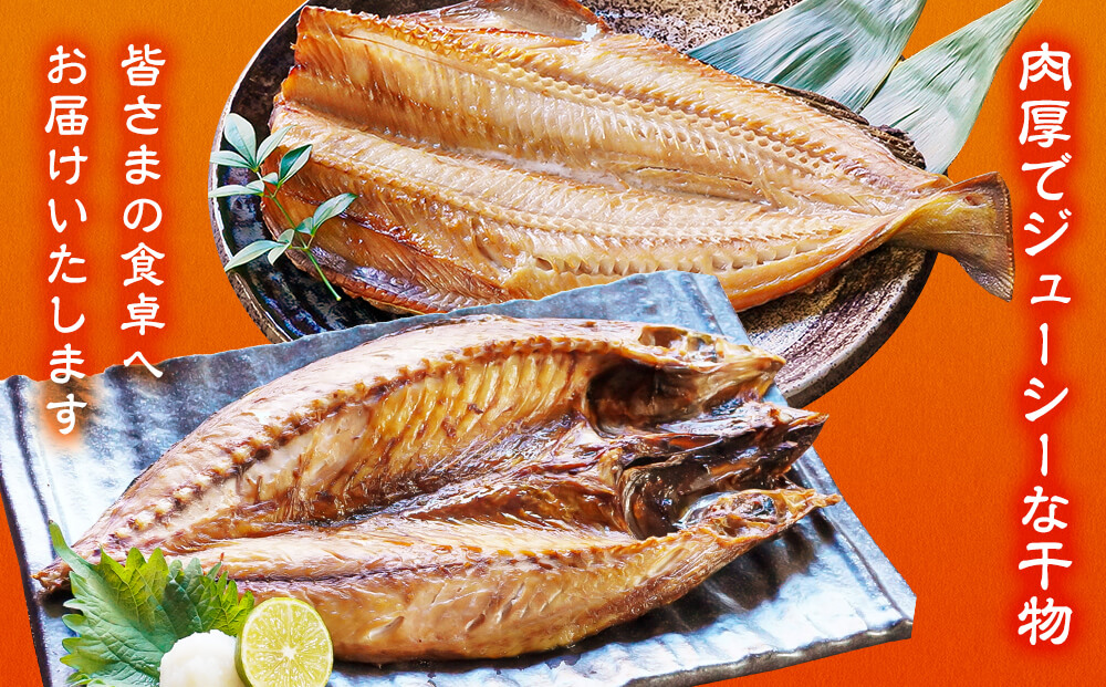 【2025年11月下旬発送】干物 おまかせ詰め合わせセット 3.5kg