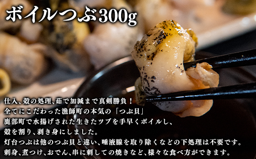 北海道産 鹿部漁港セット700g ほたて貝柱200g たこうどん200g 