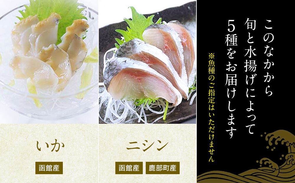 【2026年2月下旬発送】北海道産 旬のお刺身＜5種＞盛り合わ