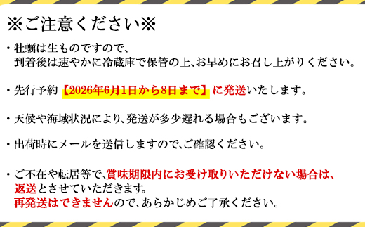 【先行予約】 2026年6月上旬発送 北海道産 生牡蠣 殻付き 1kg 