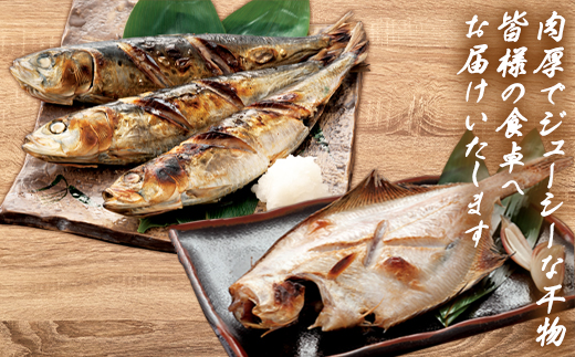 【2025年11月下旬発送】訳あり 干物・切身 セット 4.7kg 規格