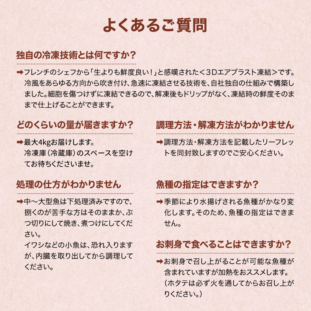 【2025年12月下旬発送】【緊急支援品】北海道 冷凍鮮魚セッ