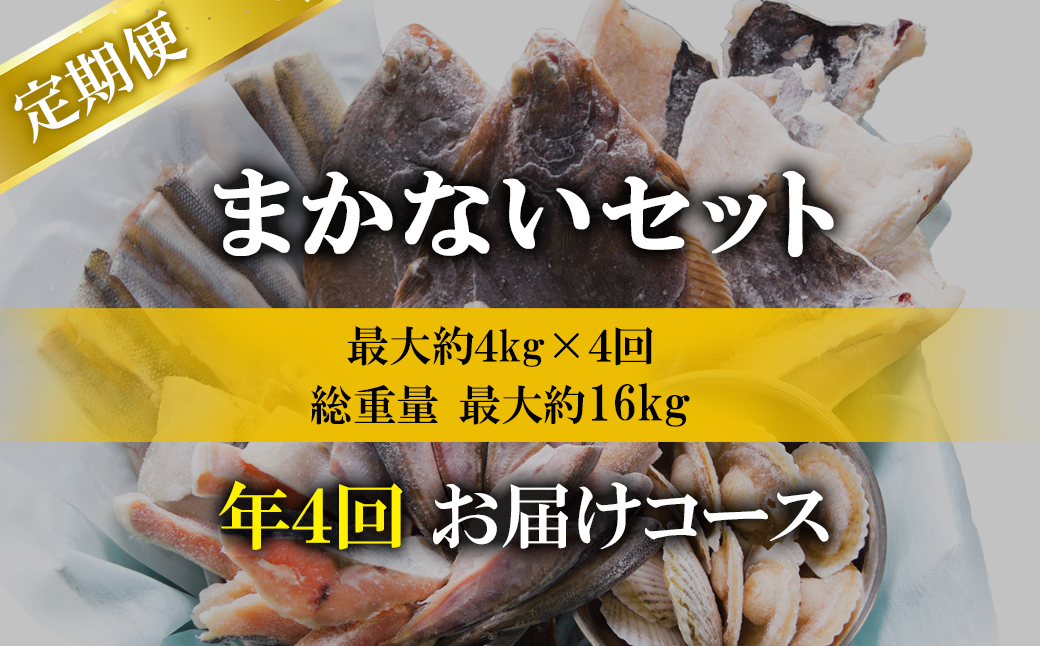 【定期便】北海道産 訳あり 北海道のおさかな屋さんの ま