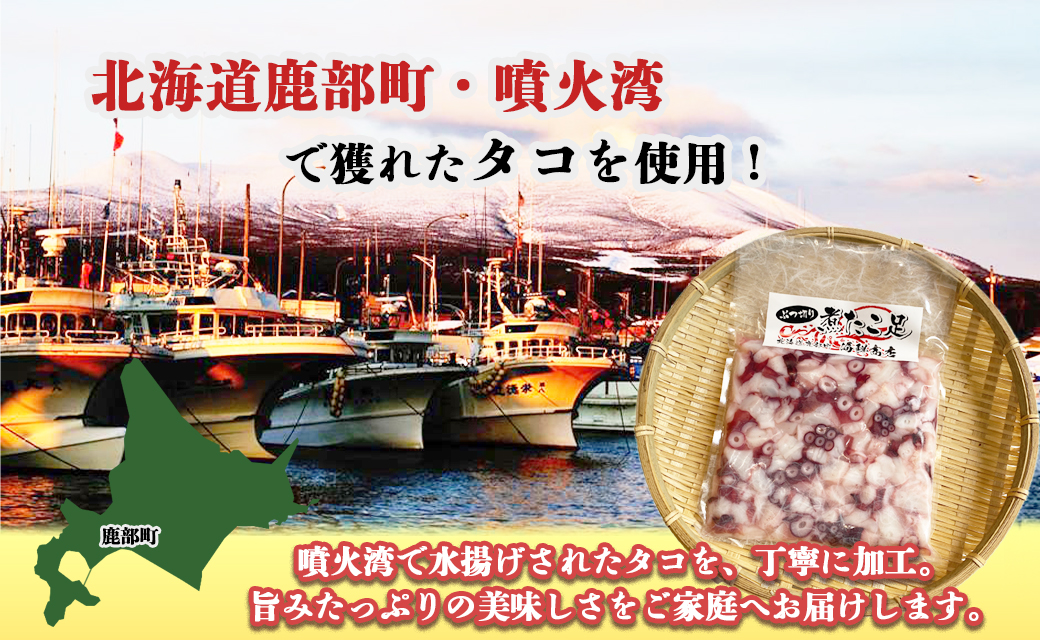 北海道産 ボイルタコ足 ぶつ切り 1kg(500g×2) ミズダコ ボイル