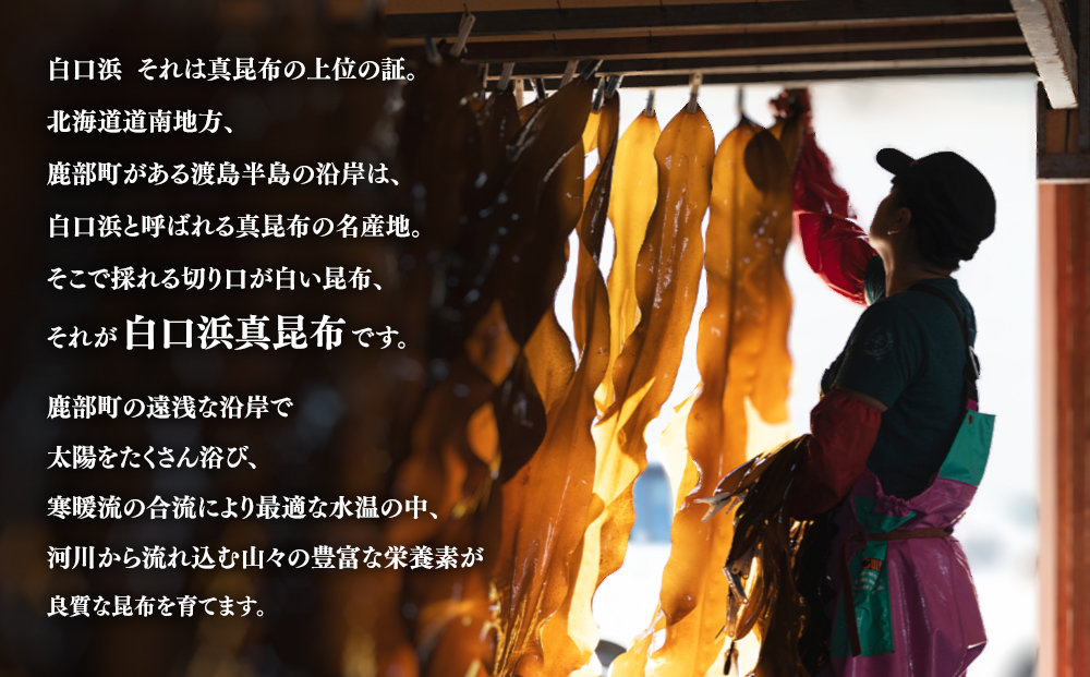 【2026年1月中旬発送】白口浜真昆布使用 根昆布だし 500ml×6