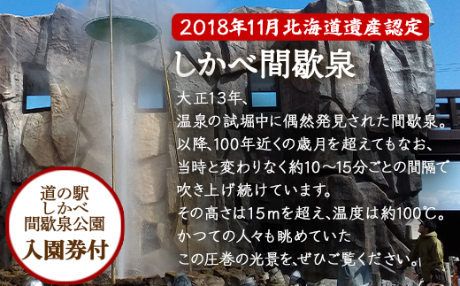 【お土産付き】駒ヶ岳山麓リゾート森あるき体験 2名様分 
