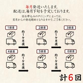 【定期便】全6回 毎月お届け 夢紀行のオリジナルブレンドコーヒー コーヒー粉100g×1袋 自家焙煎