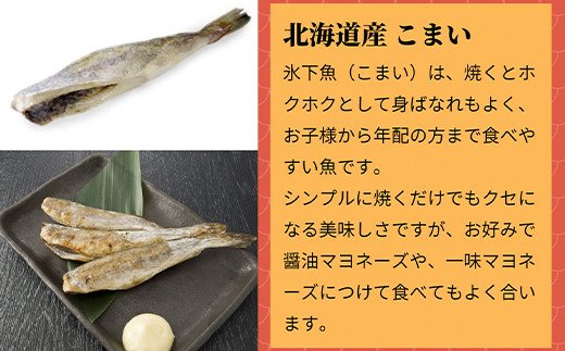 北海道一夜干し三昧デラックス 最大2kg 計10尾 訳あり 一夜