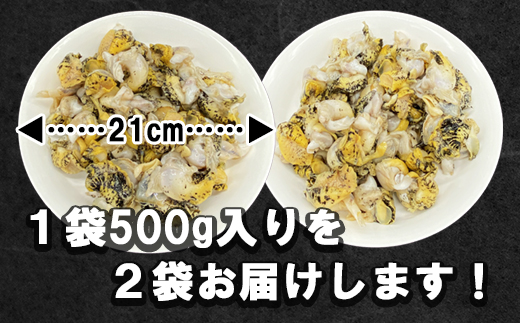 北海道鹿部町産 前浜ボイルつぶ１kg（500g×2袋） 刺身 不揃