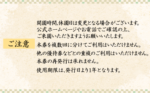 【4名様分】道の駅しかべ間歇泉公園 入園券 チケット 観光
