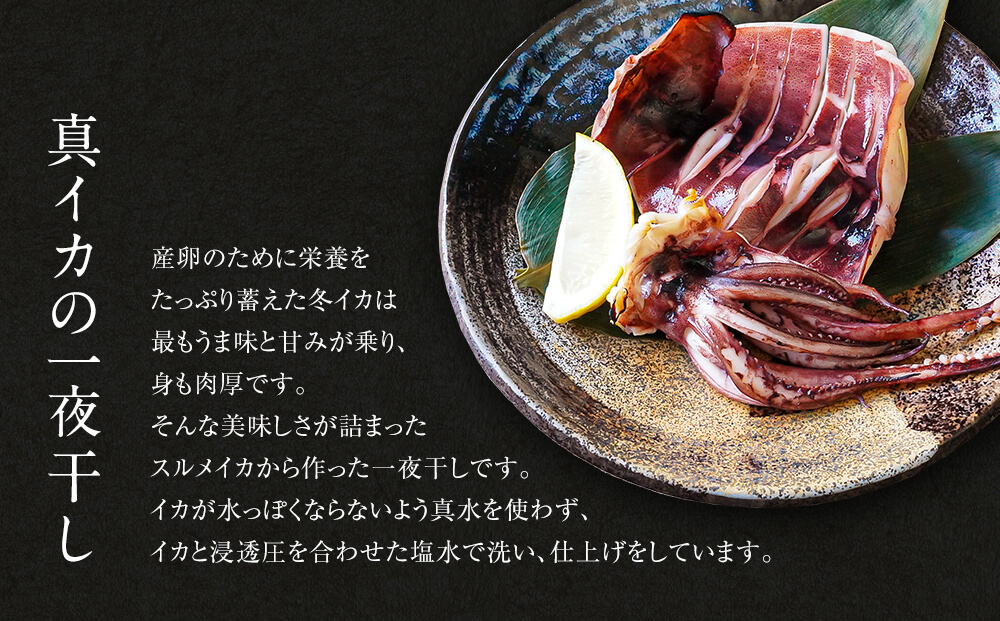 【2025年10月下旬発送】訳あり 漁師町鹿部のイカ尽くしセッ