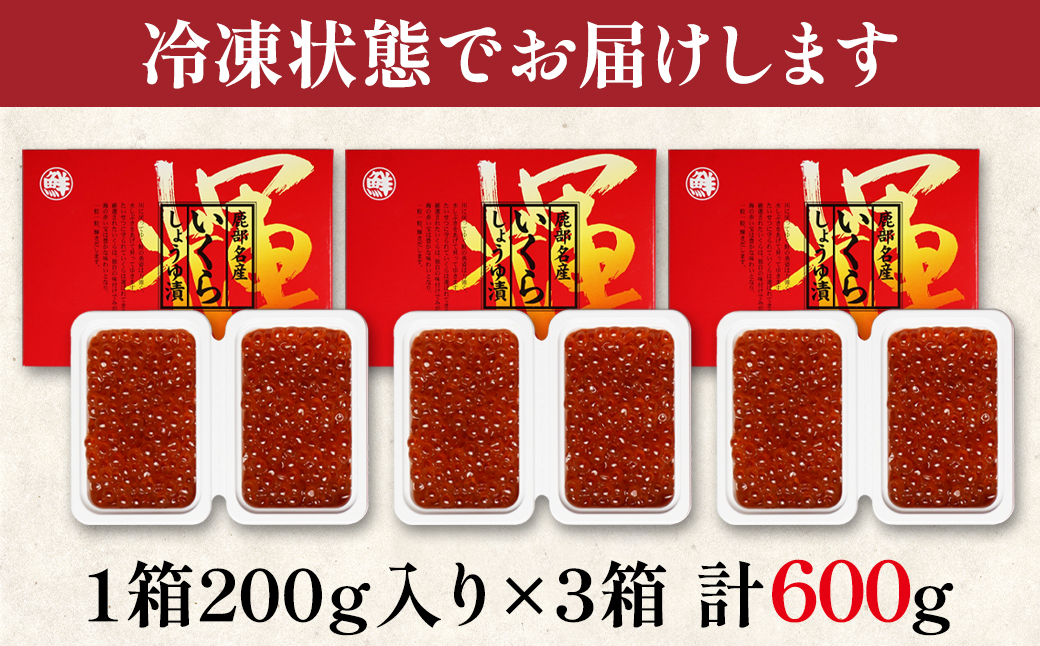 【小分けで便利！】北海道産いくら 600g（100g×6パック）し