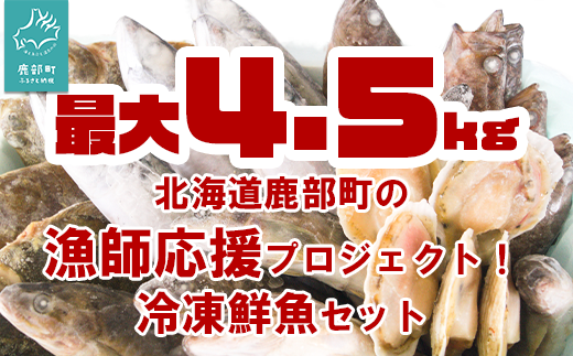 【順次発送】【緊急支援品】北海道 冷凍鮮魚セット 最大4.5