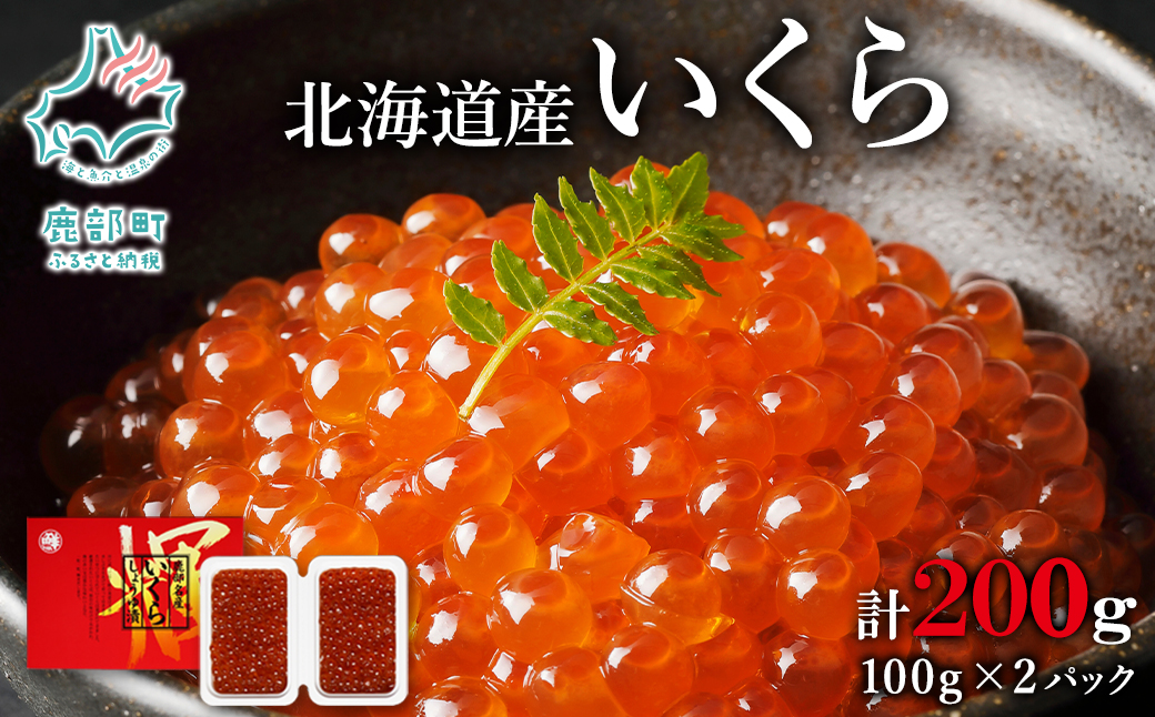 【小分けで便利！】北海道産 いくら 醤油漬け 100g×2 計 200g 