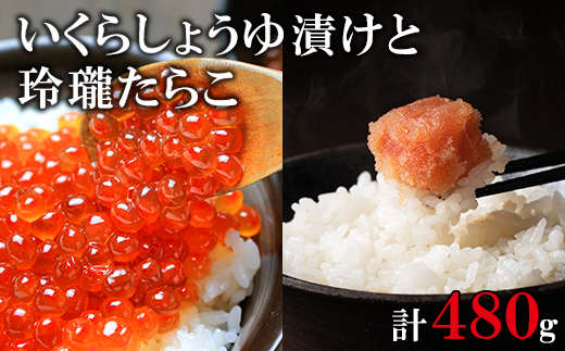 北海道産いくら240g 玲瓏たらこ240g 丸鮮道場水産 小分け 食