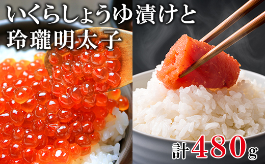 【北海道産】いくら240g 玲瓏明太子240g 丸鮮道場水産 小分け