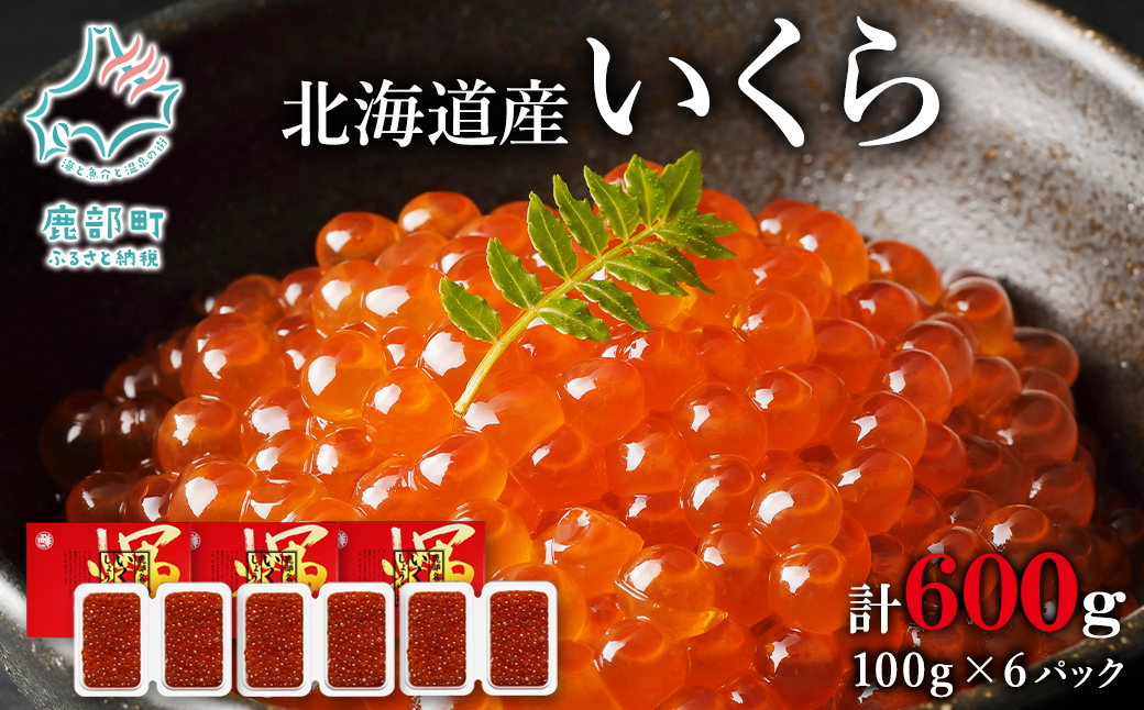 【小分けで便利！】北海道産いくら 600g（100g×6パック）し