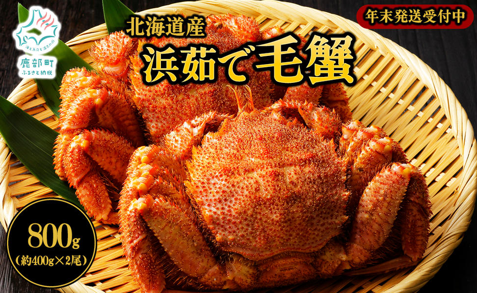【北海道産】 ボイル毛蟹 約800g（400g前後×2尾）蟹 カニ 冷