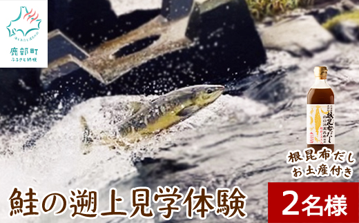 【お土産付き】鮭の遡上見学体験 2名様分 根昆布だし お土