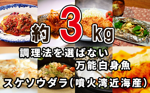 【緊急支援品】楽しみ方は10通り！メニューに困らない万能